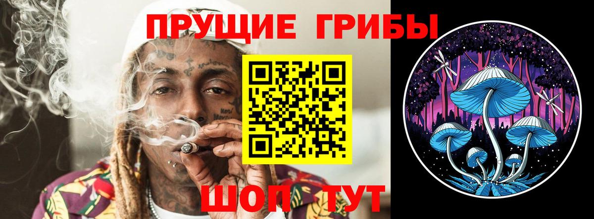 Галлюциногенные грибы мухоморы  Псилоцибиновые грибы Psilocybine cubensis  Истра  купить наркоту  Вход с VPN 