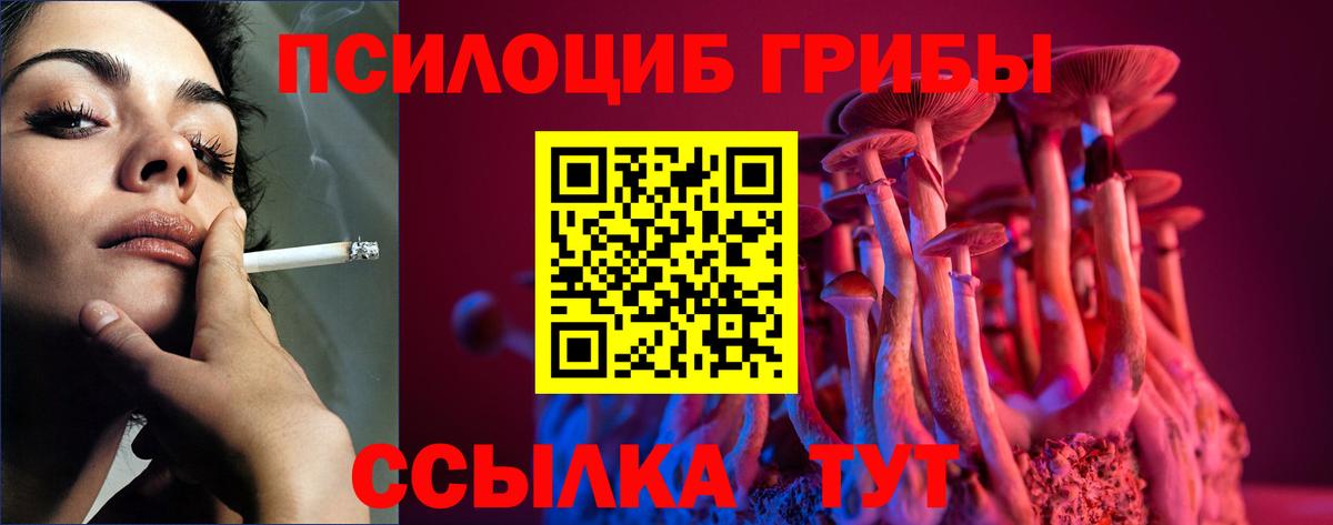 Галлюциногенные грибы GOLDEN TEACHER Истра